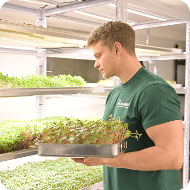 Ferme verticale GreenLab